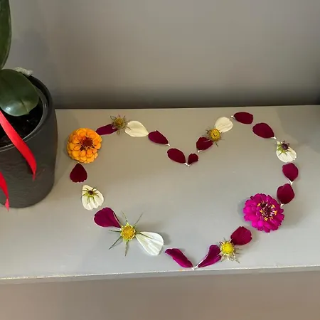 Ubytování v soukromí Bed&coffee&go Trevír